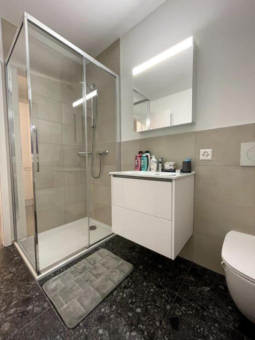 Five Stars Comfort Apartment Lugano Near The Lake Exterior photo
