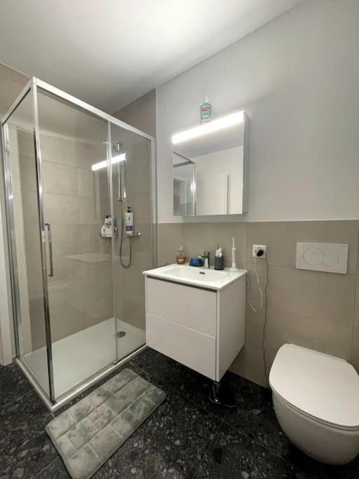 Five Stars Comfort Apartment Lugano Near The Lake Exterior photo